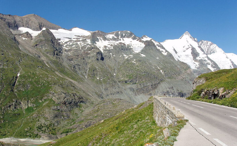 Wie überqueren alpine Tagfalter eine Strasse?